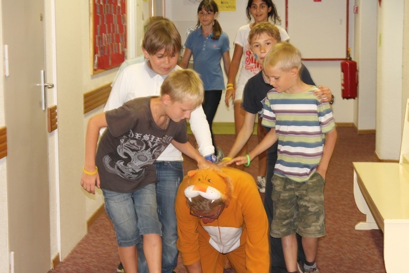 Village Camps International Summer Camp Leysin, Switzerland 2026-08-15 https://www.villagecamps.com/journals_admin/images/699-34-petting zoo (41).jpg